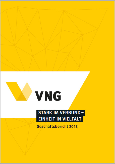 VNG Geschäftsbericht 2018
