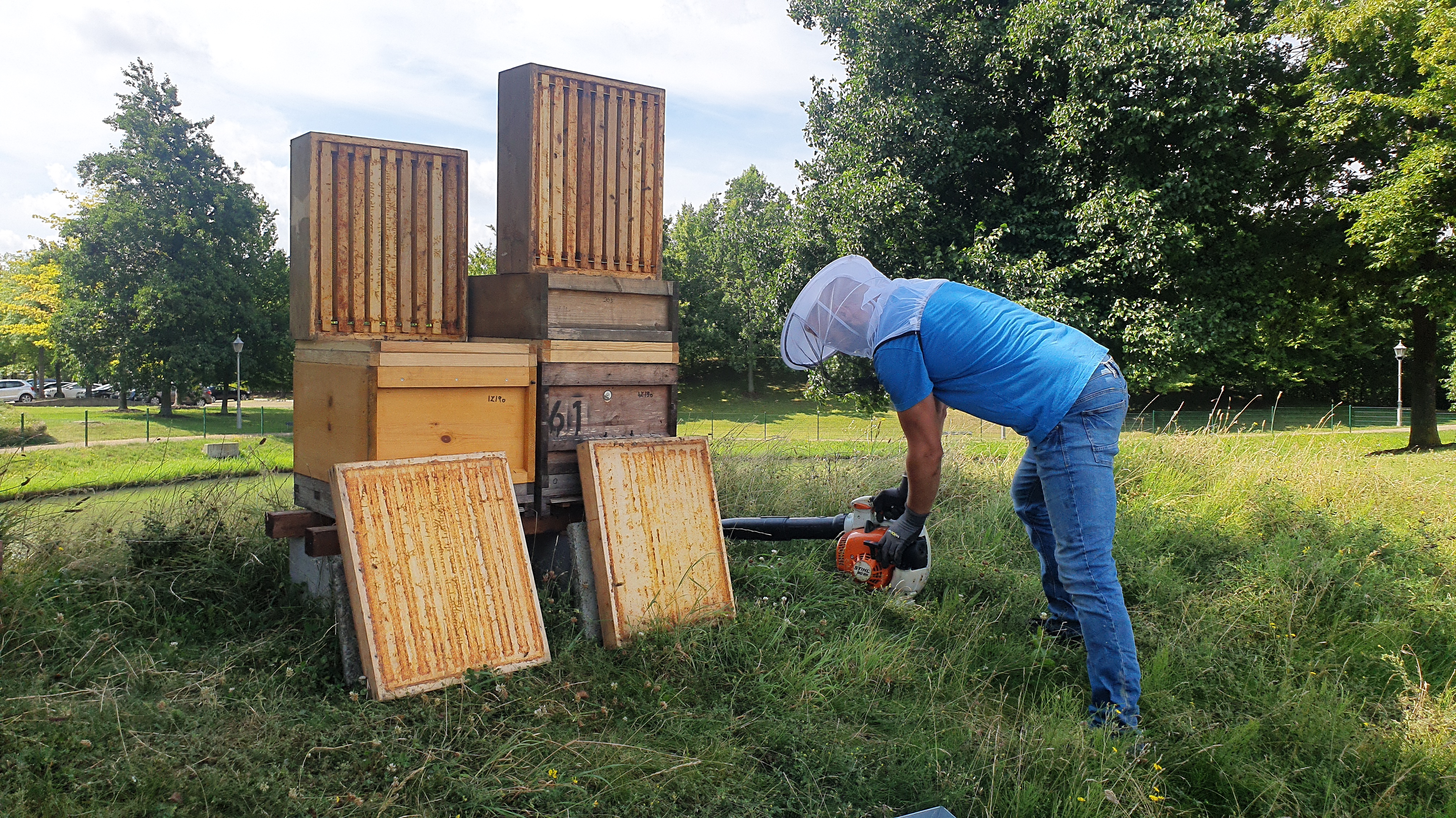 Bienen_9 Bienen_9