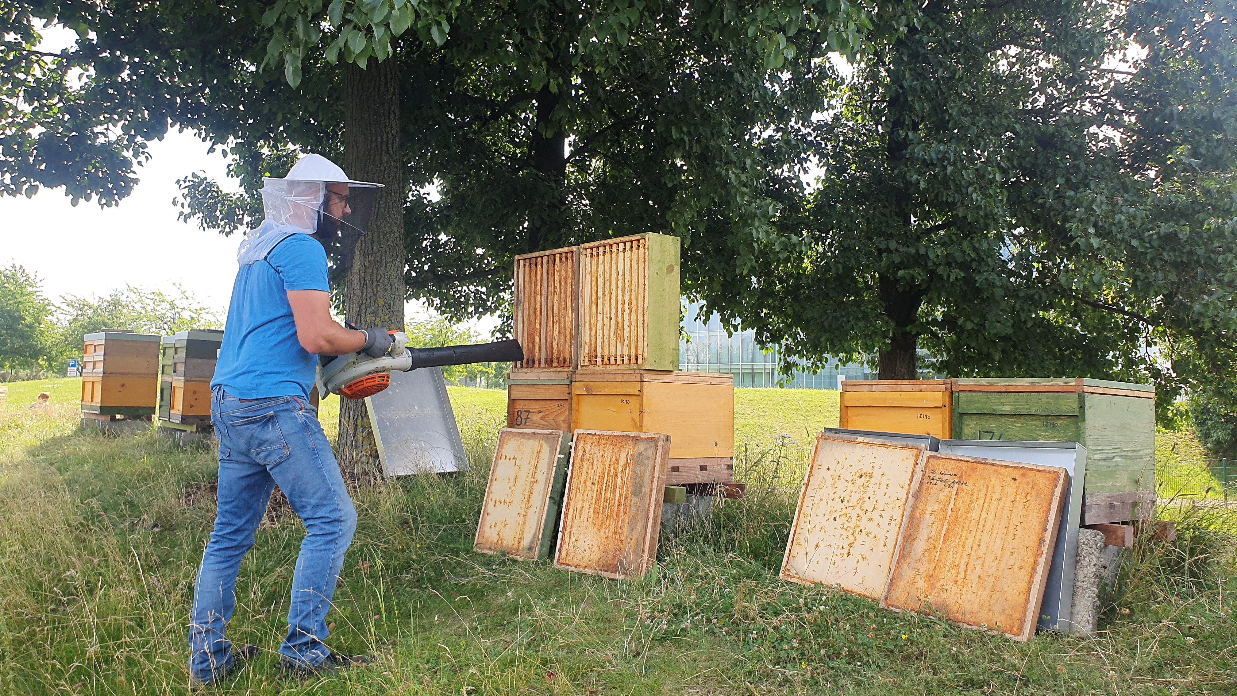 Bienen_10 Bienen_10